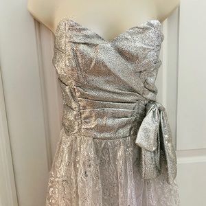 Metallic Silver Vintage Dress